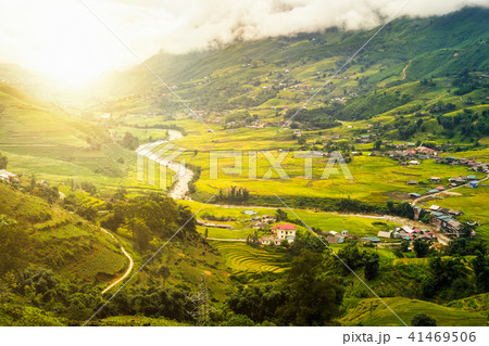 Beautiful sunrise on rice field terraced Beautiful sunrise on rice field terraced 41469506