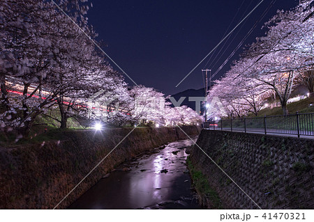 山中渓駅の夜桜 ライトアップ 41470321