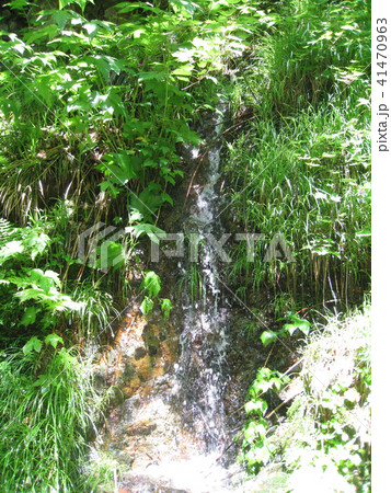 新緑　宮城　山　奥新川　渓流　滝 41470963