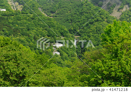 栃木県日光市 いろは坂と方等滝(5月) 栃木県日光市 いろは坂と方等滝(5月) 41471218