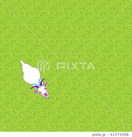 Goat on the garden top view 41474306
