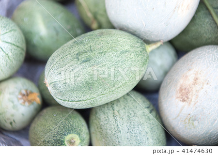 摘果メロン 41474630