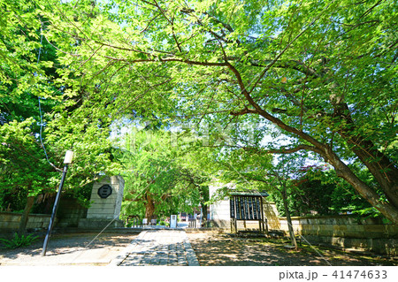 神奈川県藤沢市西富 時宗総本山遊行寺 神奈川県藤沢市西富 時宗総本山遊行寺 41474633
