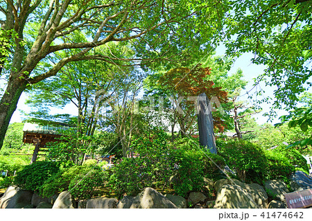 神奈川県藤沢市西富 時宗総本山遊行寺 神奈川県藤沢市西富 時宗総本山遊行寺 41474642