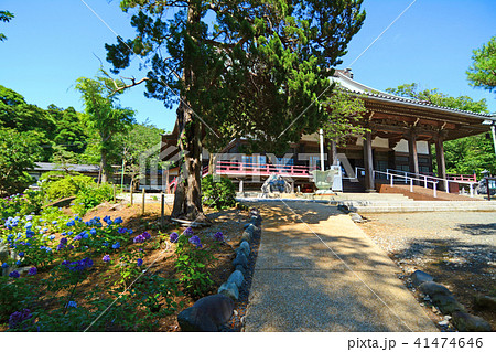 神奈川県藤沢市西富 時宗総本山遊行寺 神奈川県藤沢市西富 時宗総本山遊行寺 41474646