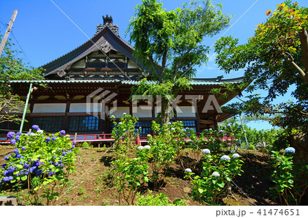 神奈川県藤沢市西富　時宗総本山遊行寺 41474651