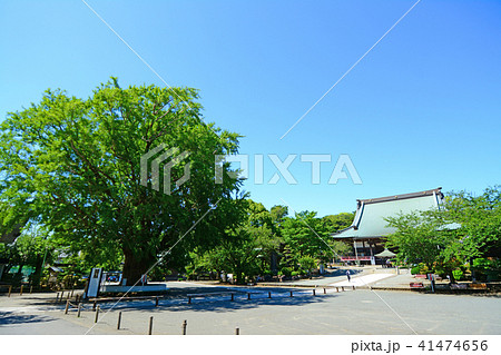 神奈川県藤沢市西富　時宗総本山遊行寺 41474656