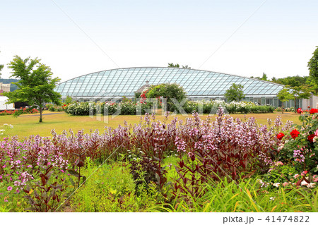 最上川ふるさと総合公園 41474822