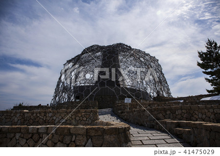 六甲枝垂れ/兵庫 41475029