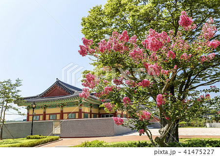 烏竹軒 江陵市 江原道 41475227