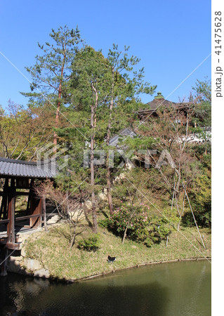 高台寺 高台寺 41475628