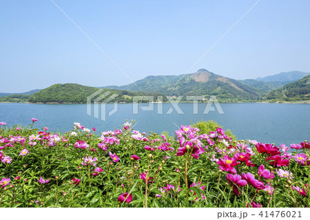 大清湖 湖 湖畔 41476021