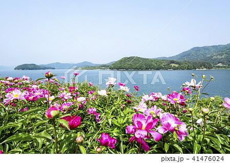 大清湖 湖 湖畔 41476024