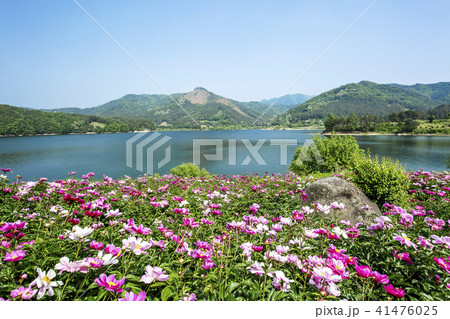 大清湖 湖 湖畔 41476025