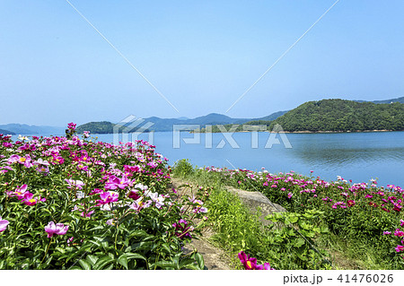 大清湖 湖 湖畔 41476026