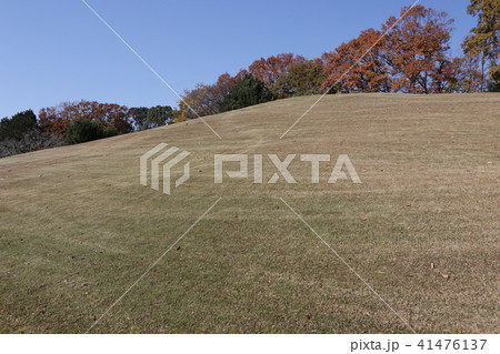 万博記念公園 41476137