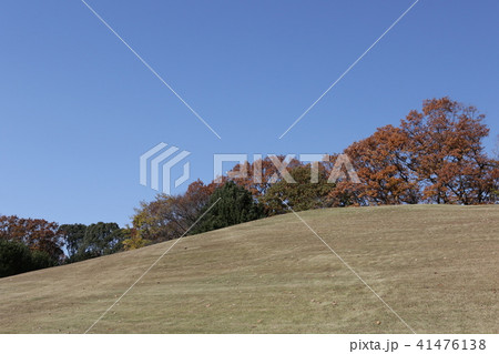 万博記念公園 万博記念公園 41476138