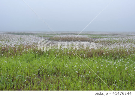 風景 京畿道 キョンギド 41476244