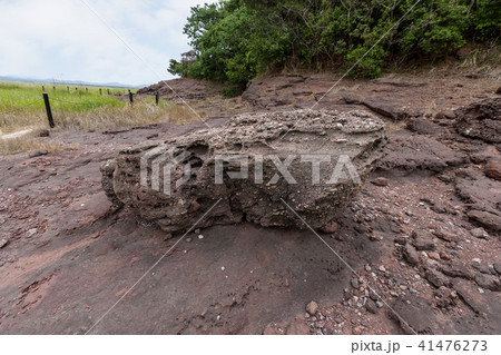 風景 京畿道 キョンギド 41476273