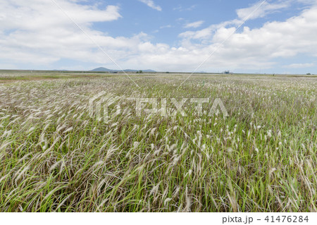 風景 京畿道 キョンギド 41476284