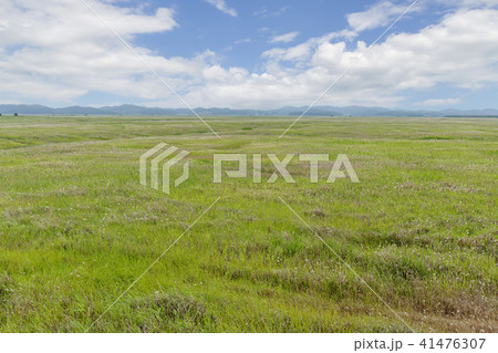 風景 京畿道 キョンギド 41476307