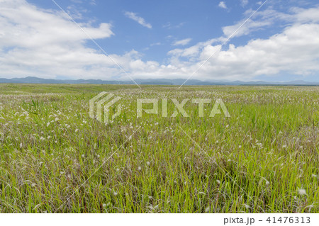 風景 京畿道 キョンギド 41476313