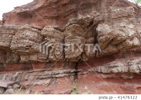風景 京畿道 キョンギド 41476322