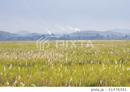 風景 京畿道 キョンギド 41476391