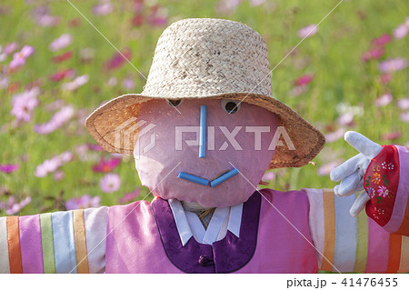 かかし 京畿道 キョンギド 41476455