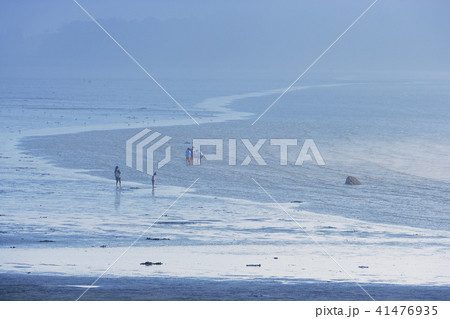 風景 海水浴場 ビーチ 41476935