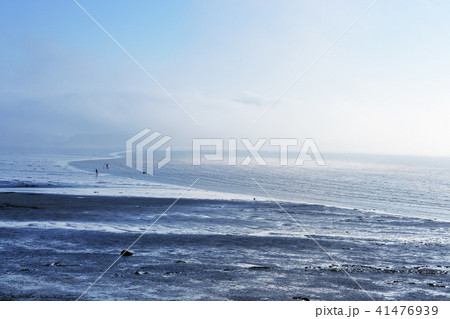 風景 ビーチ 京畿道 41476939
