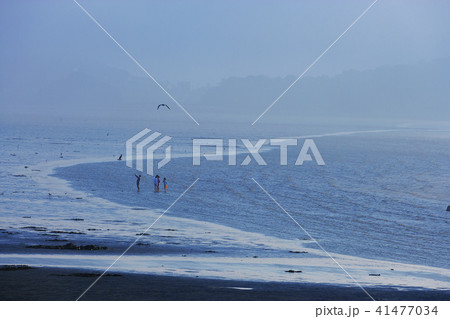 風景 ビーチ 京畿道 41477034