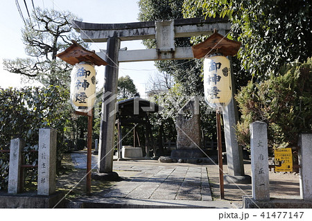 大酒神社 41477147