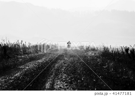 道 道路 バイク 41477181