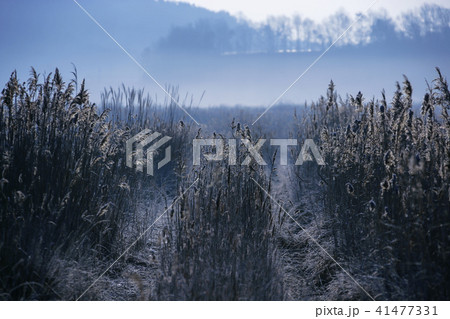風景 霜 京畿道 41477331