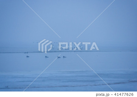 始華湖 風景 湖 41477626