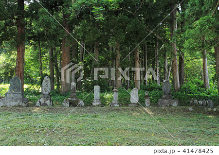 千国街道 沢度北原庚申塚石仏群 白馬村 千国街道 沢度北原庚申塚石仏群 白馬村 41478425