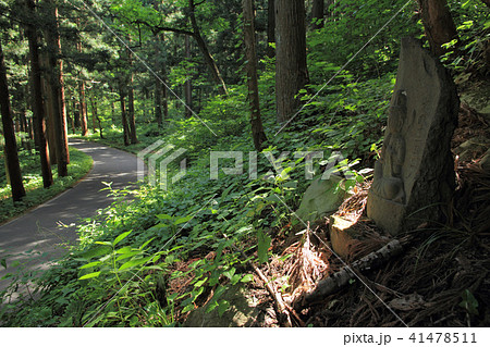 千国街道　佐野坂峠の道 41478511