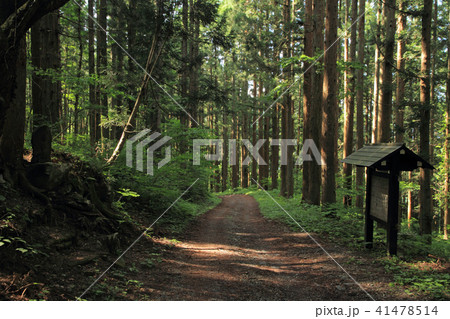 千国街道　佐野坂峠の道　鬼石付近 41478514