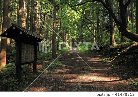 千国街道　佐野坂峠の道　鬼石付近 41478515