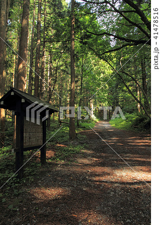 千国街道　佐野坂峠の道　鬼石付近 41478516