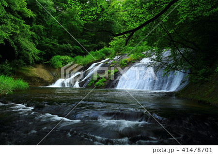夏の釜淵の滝 41478701
