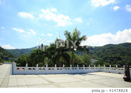 台湾 ヤシの木 観光地 41478828