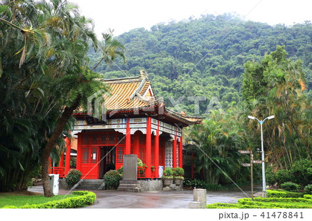 台湾の 記念館 ヤシの木 41478841