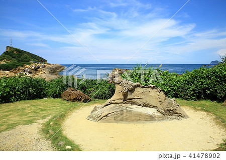 台湾 岩 石 41478902