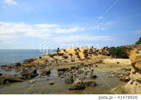 台湾の 岩 石 41478926