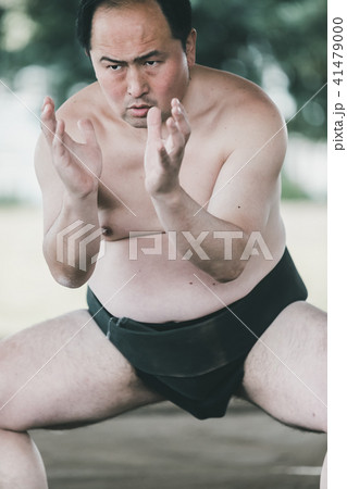 Sumo wrestling Sumo wrestling 41479000