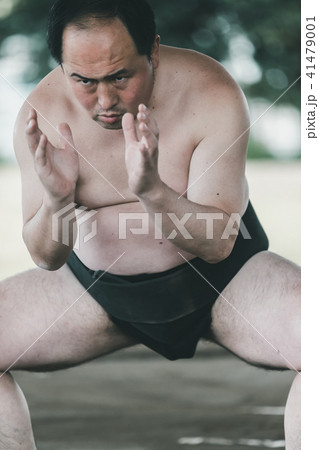 Sumo wrestling Sumo wrestling 41479001