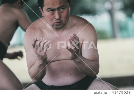 Sumo wrestling 41479028