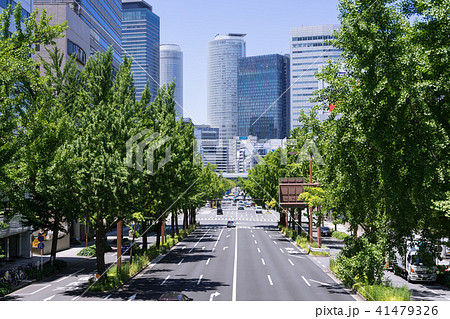 名古屋都市風景 桜通の銀杏並木と名古屋駅ビル群 ニュータス 丸の内歩道橋から 名古屋都市風景 桜通の銀杏並木と名古屋駅ビル群 ニュータス 丸の内歩道橋から 41479326